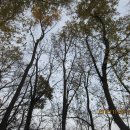 고산골 1 이미지