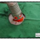 미드미동물의료센터 이미지