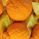 성남농장 이미지