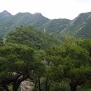 도반산약초 이미지