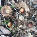 골짜기농장 이미지