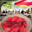 맑은물소리 | 대구 근교 계곡 아이랑 물놀이 청도운문물소리펜션 평상 당일 대여 주말 예약 꿀팁 후기