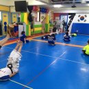 백호용인대합기도 이미지