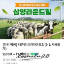 여름목장 | 대관령 삼양라운드힐 삼양목장 여름방문 여름후기 강원도여행지