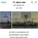 하마스포츠 이미지