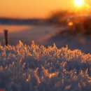 미소삼대한의원 이미지