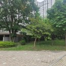 대구포산초등학교 이미지