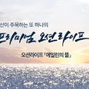 오션라이프공인중개사사무소 이미지