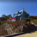 강아지&고양이 마을 이미지