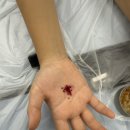 전주양지초등학교 이미지