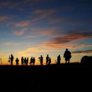 행복한 동행 이미지