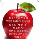 웃음바다ㅋㅋㅋ 빵빵터지는 아재개그 모음집 이미지