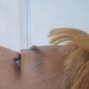 블루밍로사 | [성신여대속눈썹펌] 아침 9시부터 예약 폭주하는 블루밍로사 방문 후기