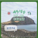 빌리카렌트 이미지