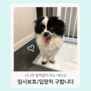 동보주유소 - 포항시 북구 | 동보주유소
