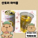 가쿠 | 일본 편의점 혼술 추천 산토리 가쿠 하이볼 봄 한정판 후기