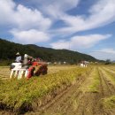 나원3리 이미지