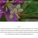 사라골농장 네이버블로그