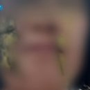 청원어린이집 이미지