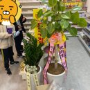 퍼니잼잼 이미지