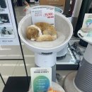 LG전자베스트샵 앞 이미지