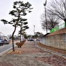 당진종합운동장 테니스장 이미지