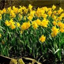 구항면 내현마을회관 이미지