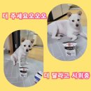 (주)피앤비 인터내셔널 | 퓨어비타 테트라팩 후기