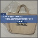 유니스피어 | 뉴욕에서 핫한 스트릿 브랜드 에임레온도르(Aimé Leon Dore) 가방 후기(유니스피어, unisphere tote)