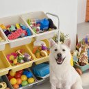 필름유희