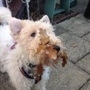 메이드코어 이미지