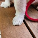 두리동물클리닉 이미지