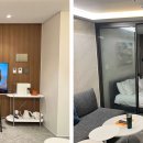 르컬렉티브 강남 예술의전당 로이움 이미지