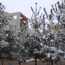 서부어린이집 이미지