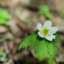 지천소공원 이미지