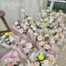 월플레르