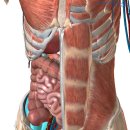 더바른교정운동센터 이미지