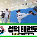 성덕태권도 이미지
