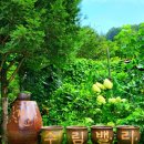 수림밸리펜션 이미지