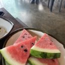 머물다정식