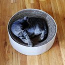 슬기로운 집사생활 이미지