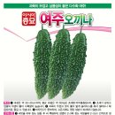 여주-0135 이미지