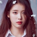 스물아홉살