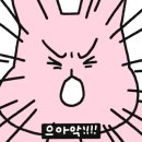 옥길온누리약국 이미지