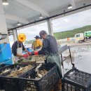 태안군 환경관리센터 | SE 클럽 캠핑장 솔직후기 (샤워장 빼고 99% 만족한 태안 가족캠핑)