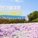(주)우리여행사