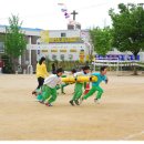 서광초등학교 이미지