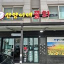 고성 물회맛집 선영이네물회 솔직후기｜봉포해수욕장 근처 오징어순대 맛집