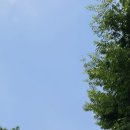 경기도 수원시 팔달구 정조로777번길 이미지