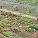 원등농장 이미지